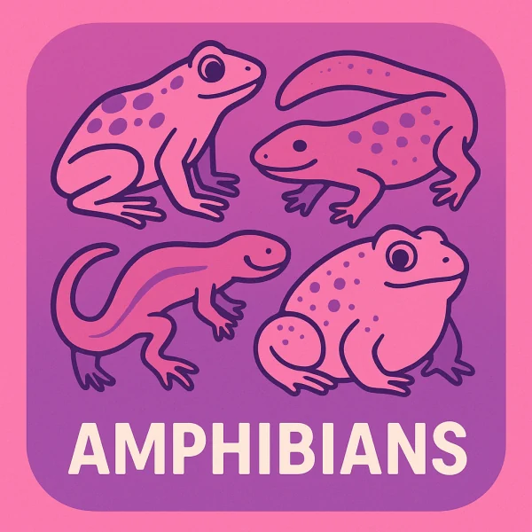 Amphibians
