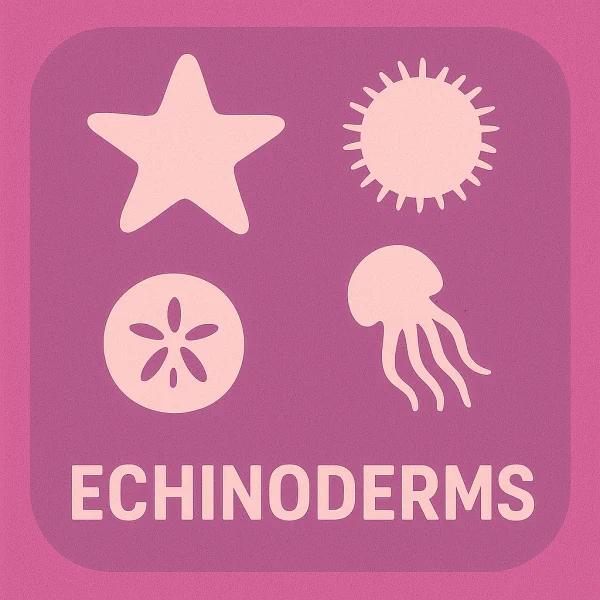 Echinoderms