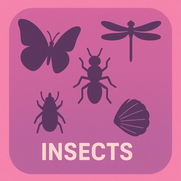 Insects